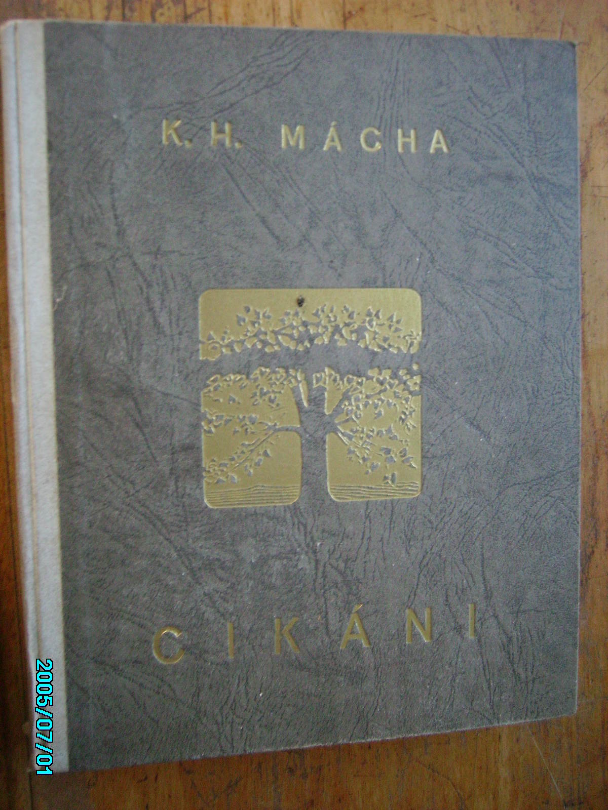 zobrazit detail knihy Mcha, Karel Hynek: Cikni tfl rytiny