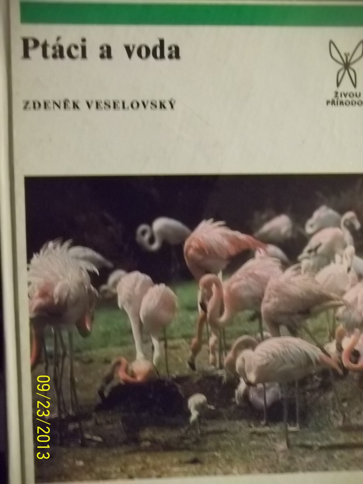 zobrazit detail knihy Veselovsk, Zdenk: Ptci a voda