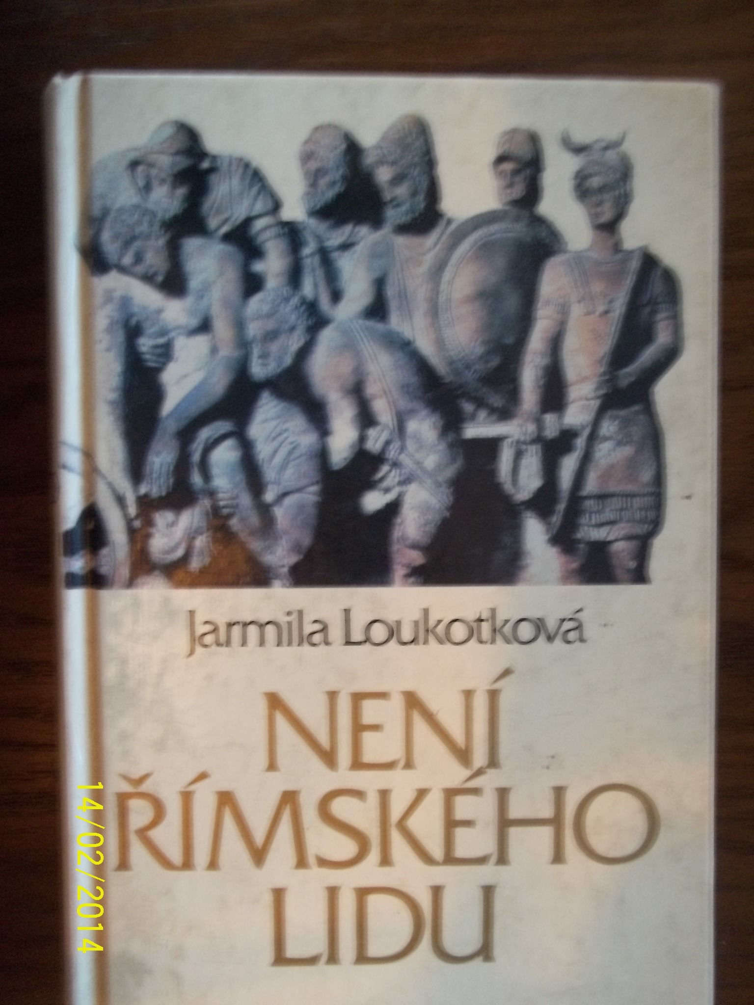 zobrazit detail knihy Loukotkov, Jarmila: Nen mskho lidu 1993