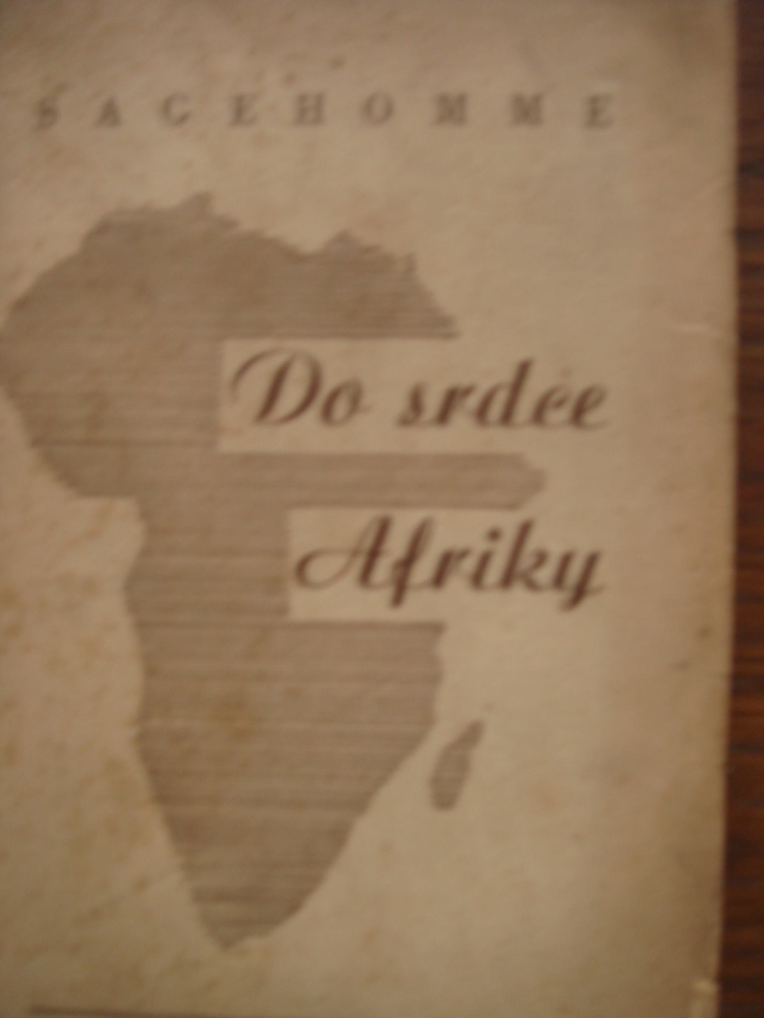 zobrazit detail knihy Sagehomme, G: Do srdce Afriky