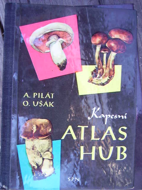 zobrazit detail knihy Pilt,Uk: Kapesn atlas hub 