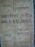 zobrazit detail knihy Komenský J.A: Labyrint světa a ráj srdce 1903